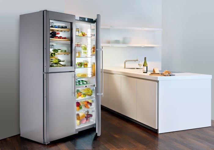 Hvilket køleskabsmærke er det bedste at købe? De otte bedste mærker + nyttige tips til købere