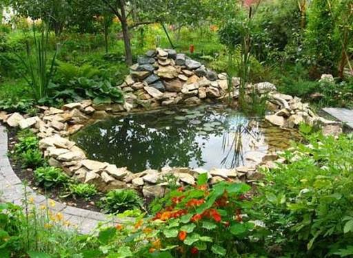 So bauen Sie einen Teich mit Ihren eigenen Händen: Anweisungen zum Erstellen und Pflegen eines Teichs auf einem persönlichen Grundstück