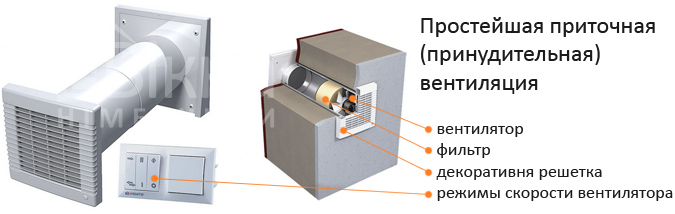 Aktivkohlefilter für Auspuff: Typen, Funktionsprinzip, wie man ihn selbst ersetzt