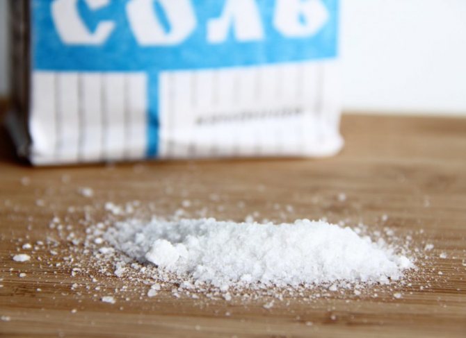 Umweltfreundliches Waschen oder was Waschpulver ersetzen kann