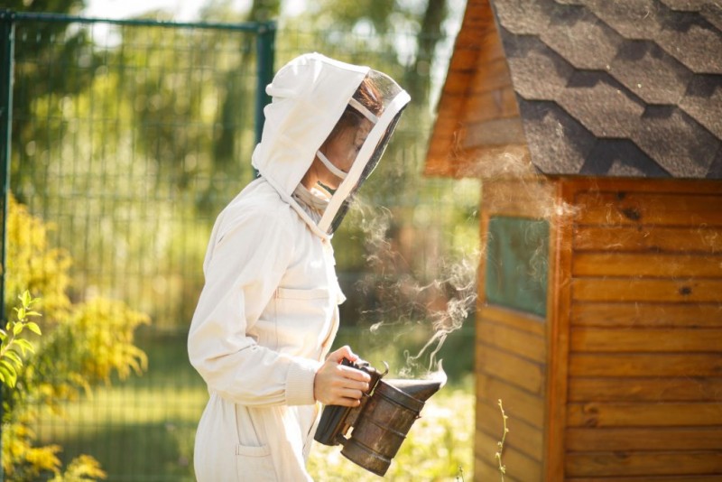Summende kvarter: Hvorfor du ikke bør ødelægge en hvepserede