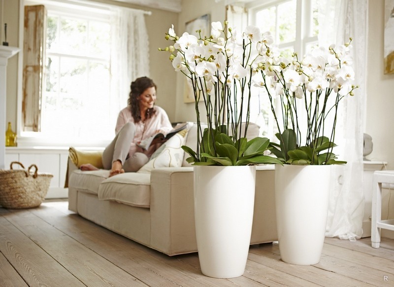 Ist es möglich, künstliche Blumen zu Hause zu halten?