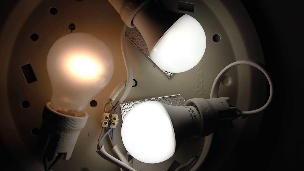 LED-Lampe blinkt: nach dem Einschalten und im ausgeschalteten Zustand