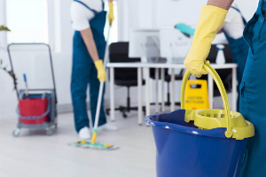 7 måder at erstatte dyre husholdningskemikalier på, når du rengør badeværelset