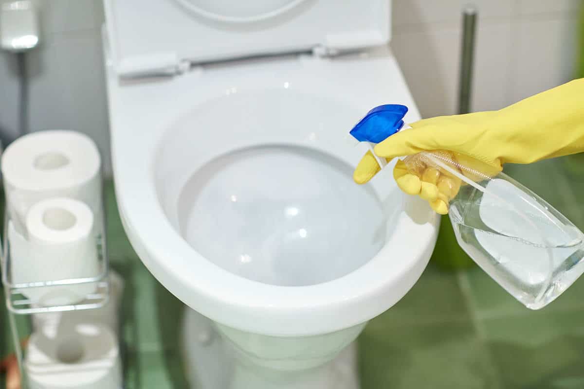 So reinigen Sie die Toilette von Kalk: Volks- und Spezialmittel