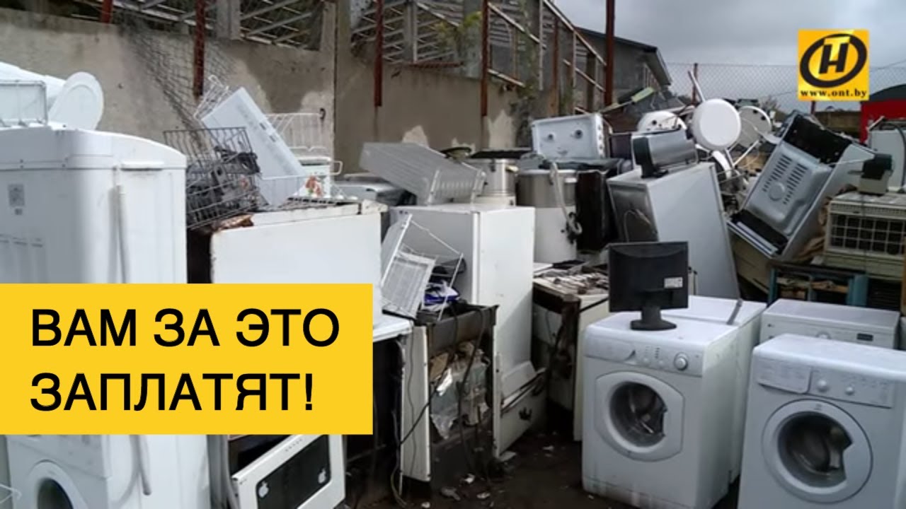 Wo kann man den Kühlschrank zum Recyceln gegen Geld, andere Boni und kostenlos abgeben: 4 Optionen