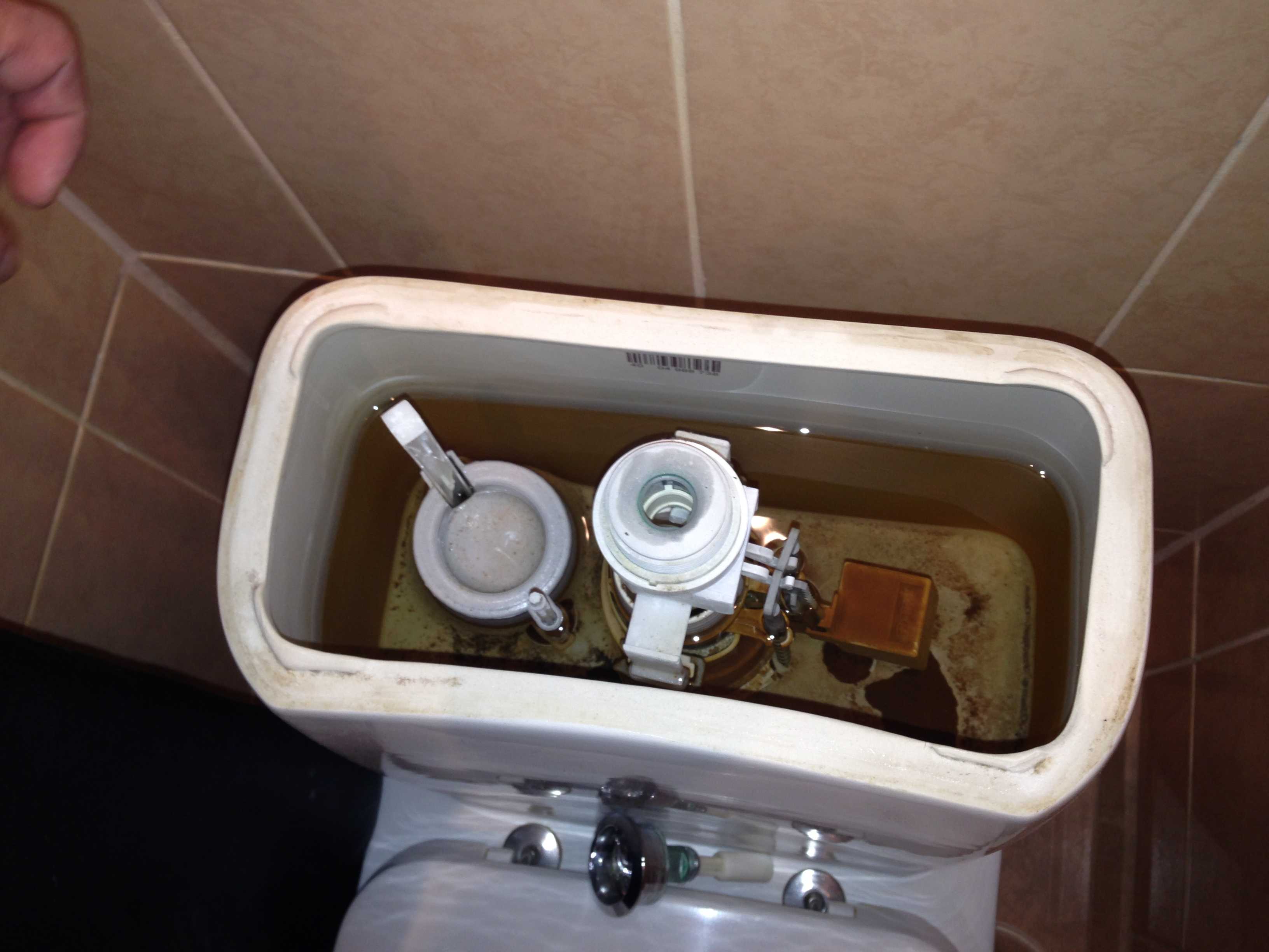 Die Toilettenschüssel fließt ständig: was zu tun ist und wie man es selbst repariert (+ Video)
