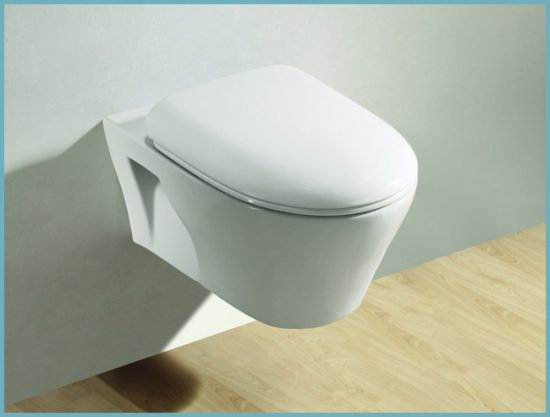 So wählen Sie eine Toiletteninstallation + Selbstinstallationsanleitung aus