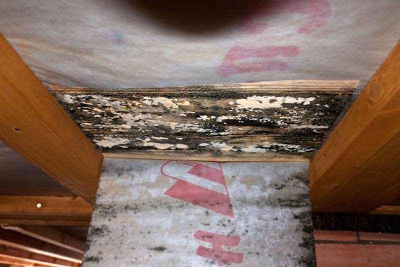 Bodendämmung in einem Holzhaus: Materialien für die Wärmedämmung + Beratung zur Auswahl einer Heizung