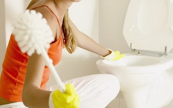 So reinigen Sie die Toilette von Kalk: wirksame chemische und Volksheilmittel