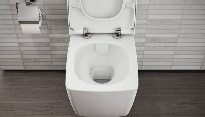 So reinigen Sie die Toilette von Kalk: wirksame chemische und Volksheilmittel