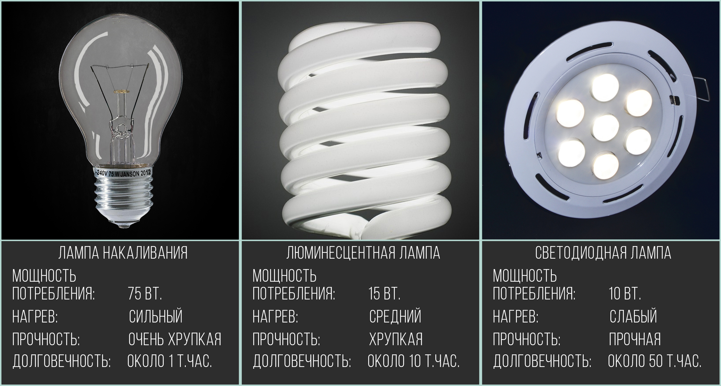 So wählen Sie Energiesparlampen aus - Arten und Anordnung von Glühbirnen