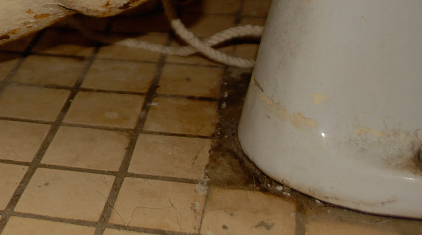 So installieren Sie eine bodenstehende Toilette