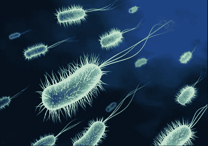 Bakterier i septiktanke: principperne for bakteriologisk rensning og markedsanalyse