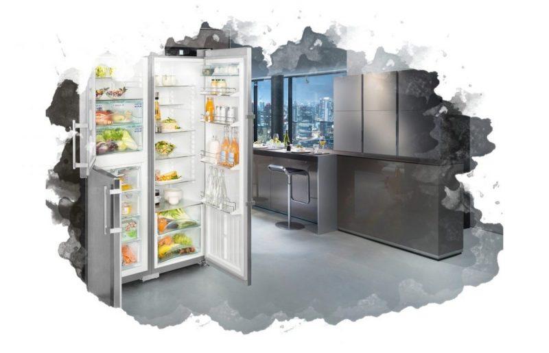Bedste side-by-side køleskabe: Sådan vælger du det rigtige + Top 12 modeller Rating