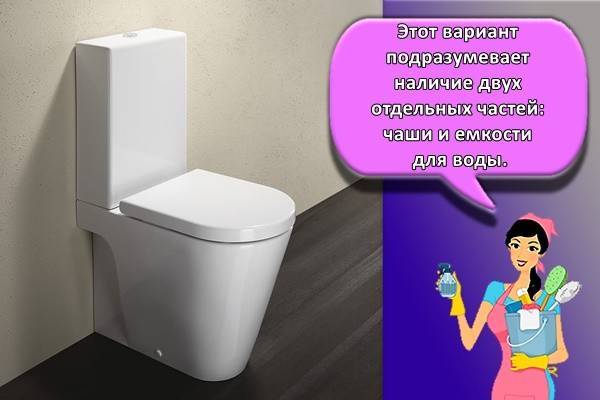 So wählen Sie die richtige Toilette: Worauf Sie vor dem Kauf achten sollten + Überprüfung der Hersteller