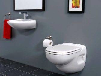 Kleine Waschbecken in der Toilette: Sorten, Fotoauswahl an Optionen und Funktionen der Wahl
