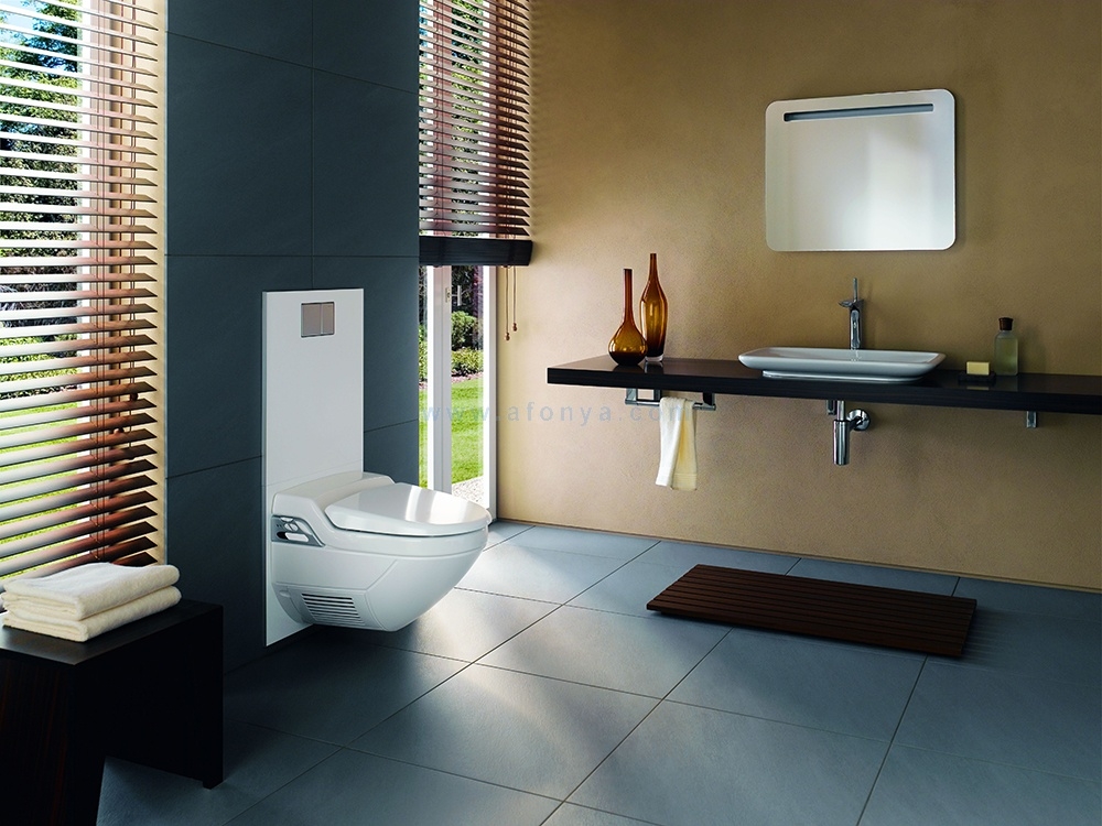 Design einer kleinen Toilette - 75 Fotos von Innenräumen nach der Renovierung, schöne Ideen