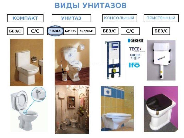 So wählen Sie eine Toilette für ein Haus und eine Wohnung aus: eine vollständige Anleitung