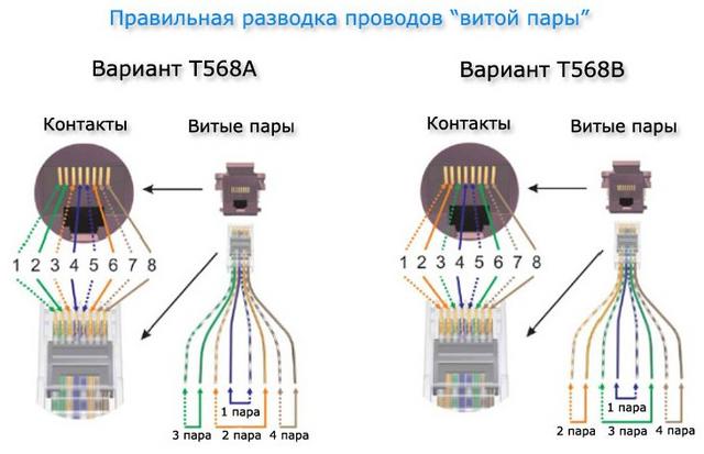 So schließen Sie eine Internetsteckdose und einen Stecker an, Foto- und Videobeispiele