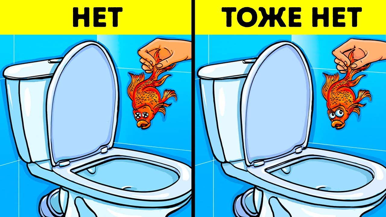 Die Toilette ist verstopft: So reinigen Sie sie zu Hause, was tun, um sie selbst zu reparieren?