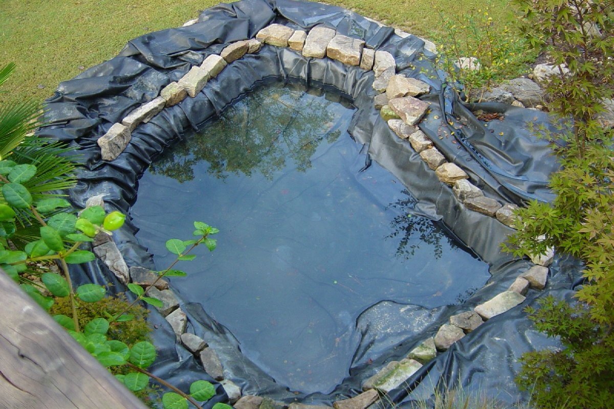 Do-it-yourself-Teich: mit einer Folie, einer Schüssel, Miniteichen aus einem Reifen, Pflanzen