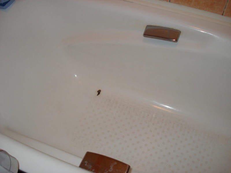 Hvordan og hvad er den bedste måde at reparere en chips på overfladen af badekarret?