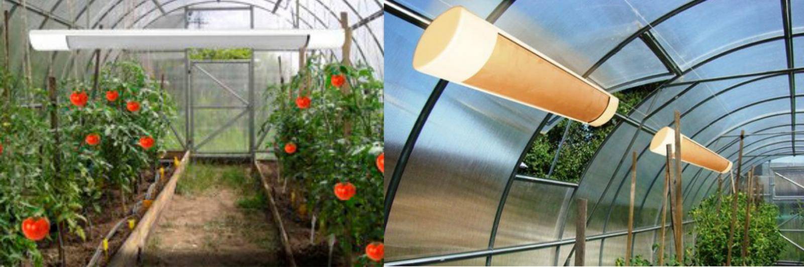 Infrarotheizungen für Polycarbonat-Gewächshäuser: Deckenheizung, Heizung und Bewertungen, Gaslampen