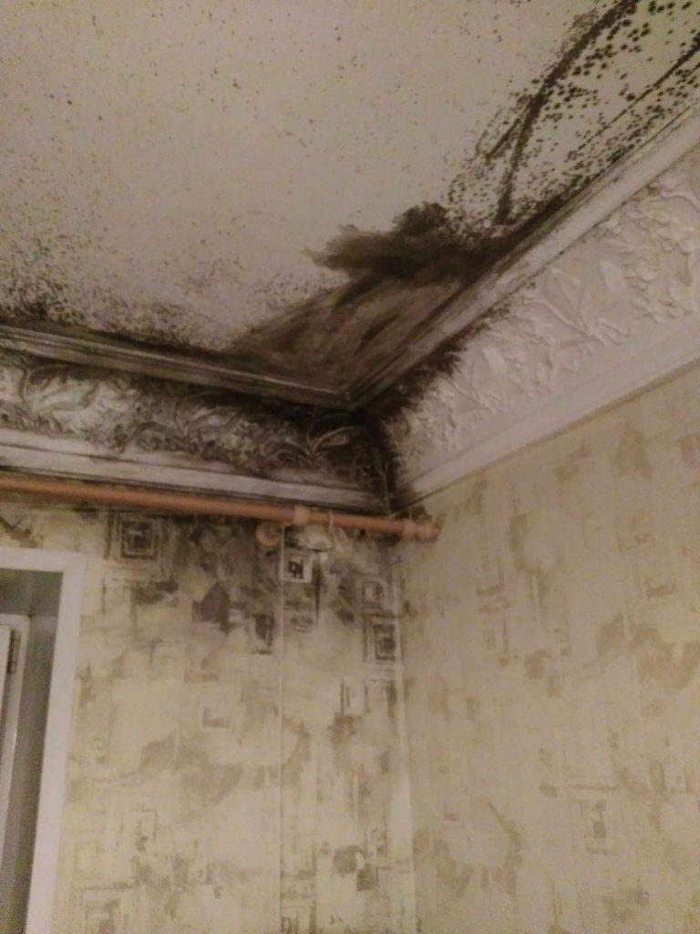 Hohe Luftfeuchtigkeit in der Wohnung: Schimmelursachen, wie man Feuchtigkeit im Raum loswird