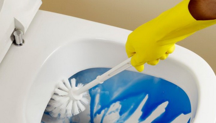 Sådan rengøres toiletkummen fra kalk: effektive kemiske og folkemæssige retsmidler