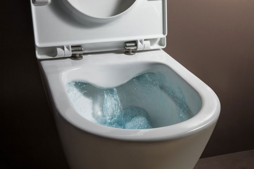 Randlose Toilette: Vor- und Nachteile, Besitzerbewertungen