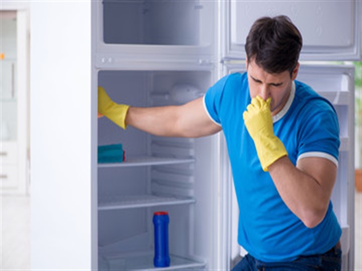 So entfernen Sie den Geruch aus dem Kühlschrank zu Hause