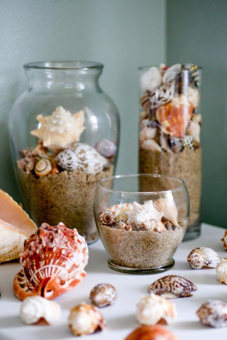 Muschelhandwerk. Nützliche Tipps, Beispiele, 80 Fotos