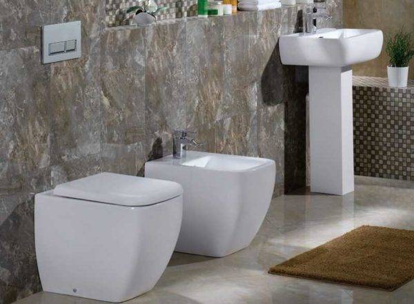 Arten von Toilettenschüsseln nach technischen Eigenschaften und Design