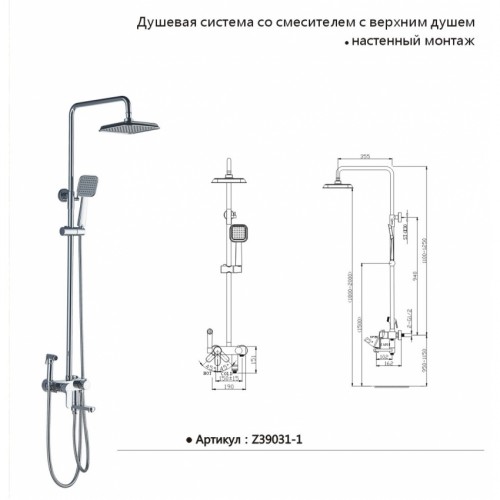 So wählen und installieren Sie eine hygienische Toilettendusche