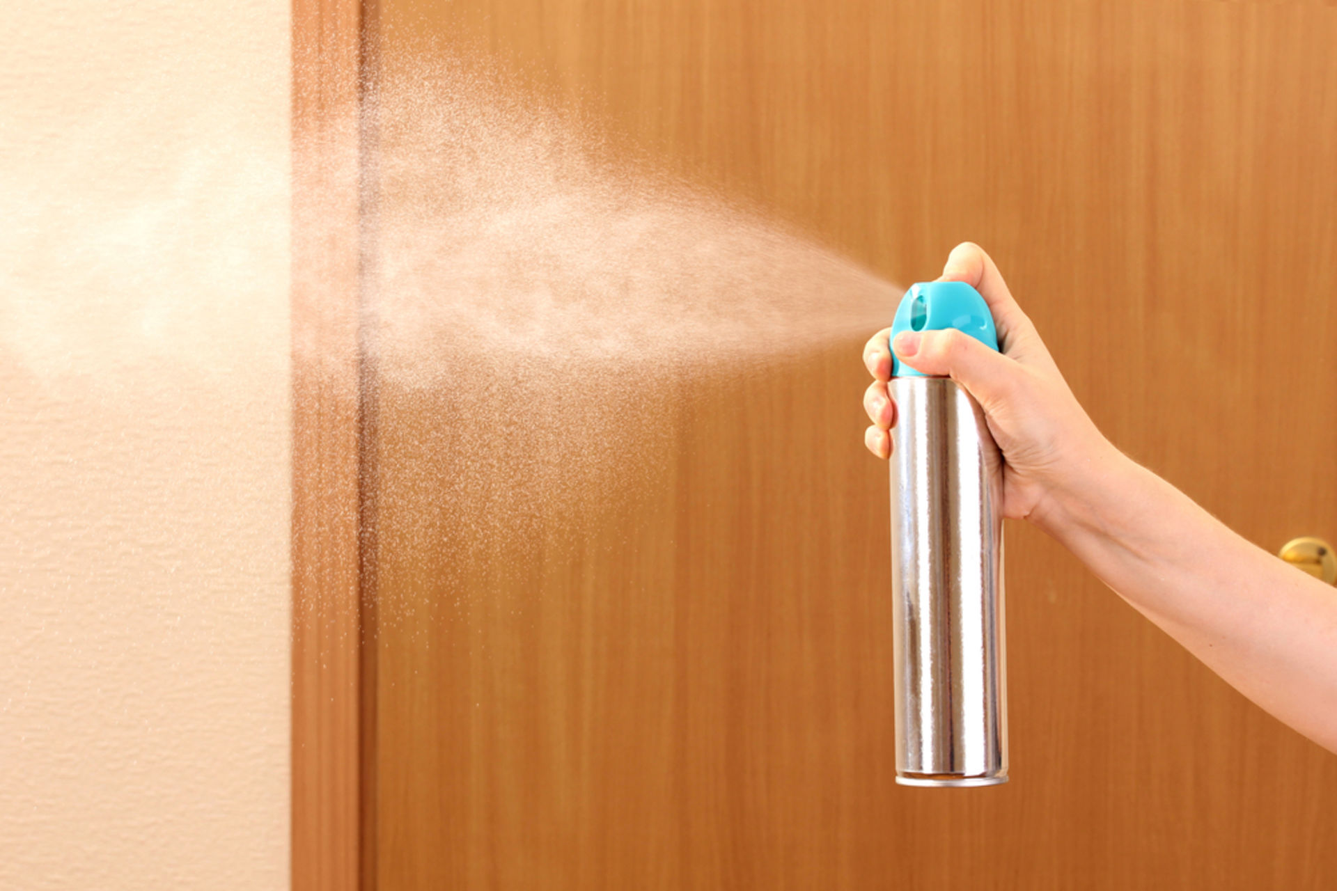 So beseitigen Sie einen unangenehmen Geruch in der Wohnung: effektive und schnelle Wege