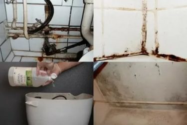 Wasserüberlauf im Toilettenbecken mit Bodenanschluss