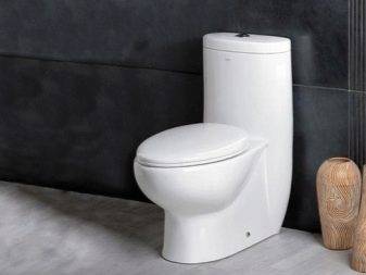 Toiletteneinbau in Eigenregie