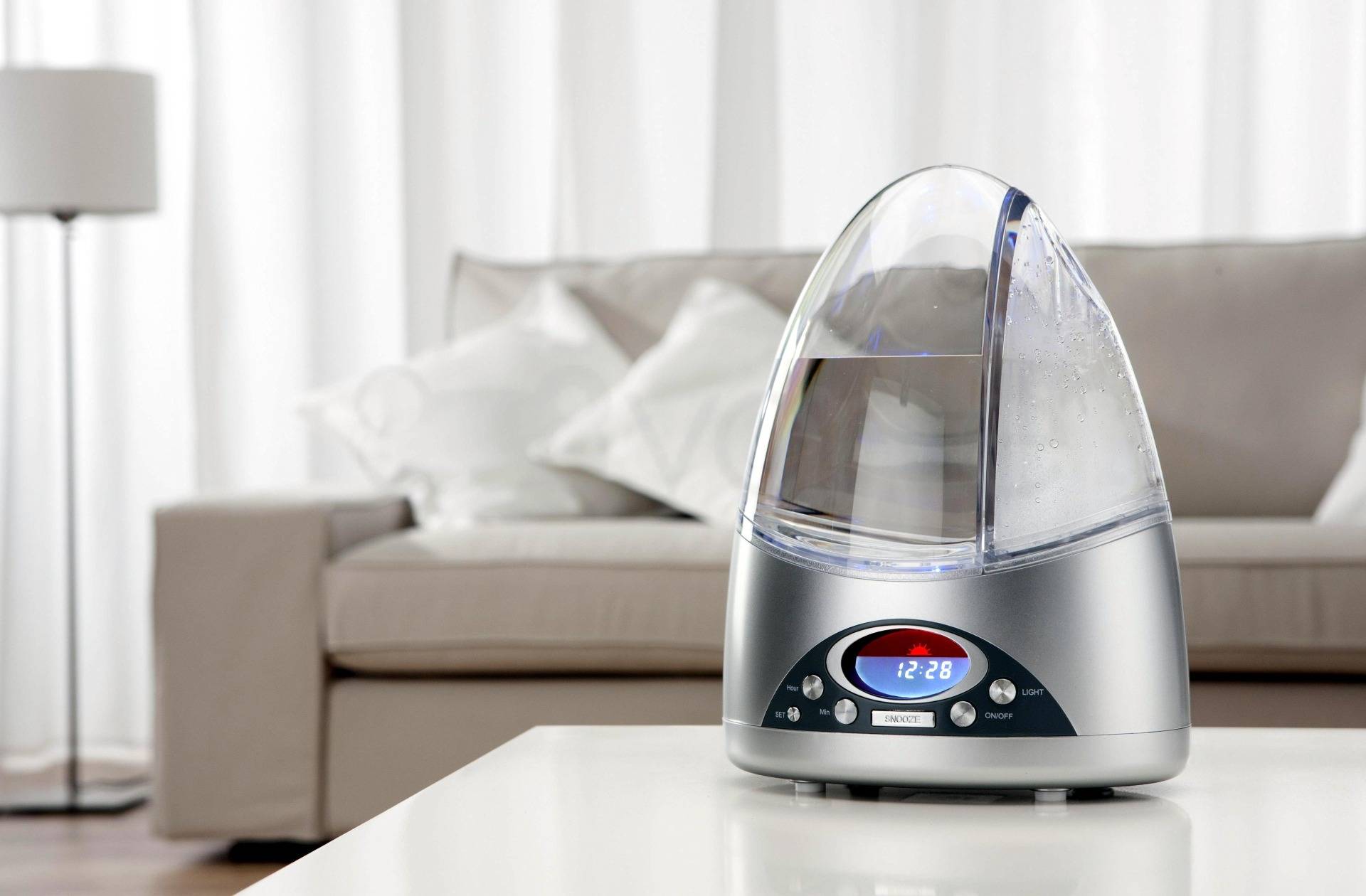 Was ist besser: ein Ionisator oder ein Luftbefeuchter?