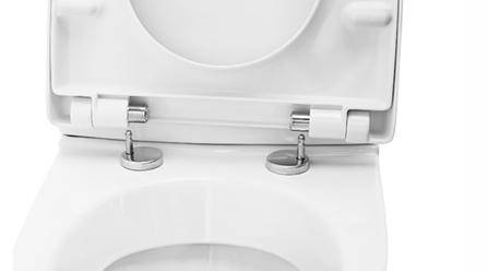 Reparation af toiletlåg: hyppige nedbrud og hvordan man løser dem
