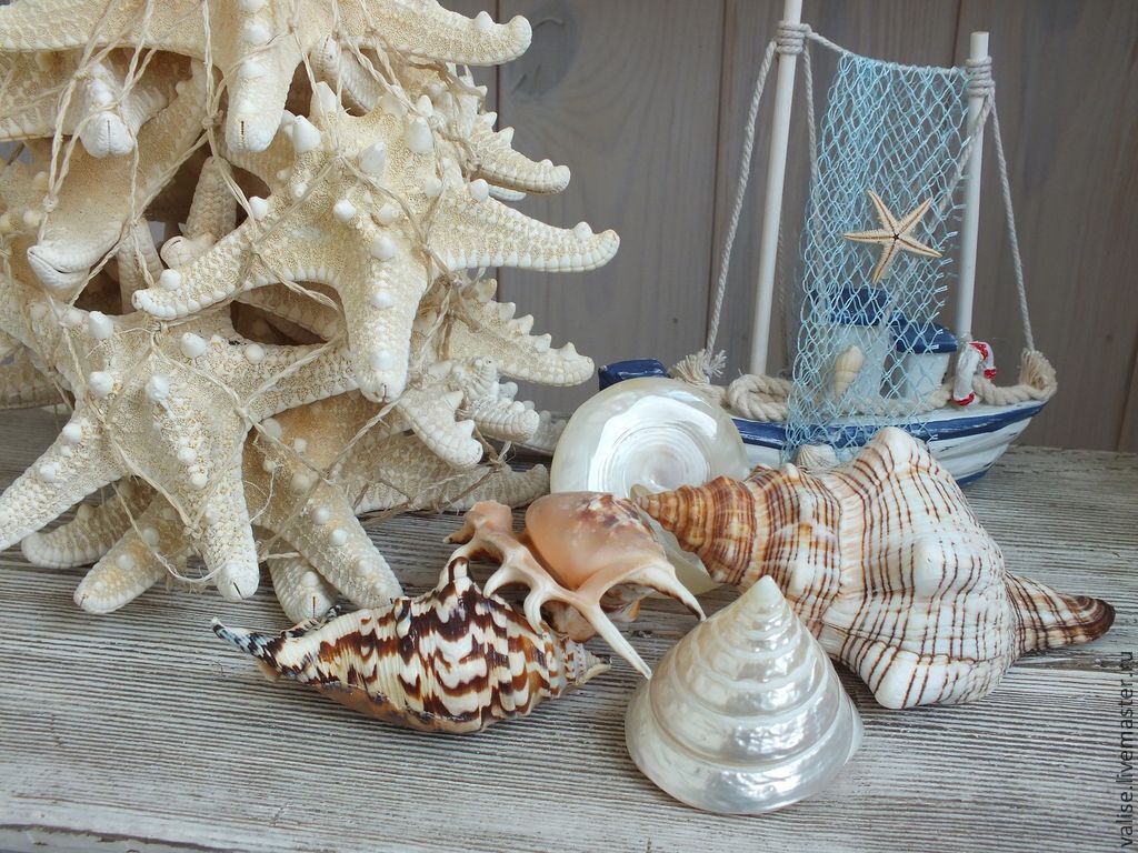 DIY-Muschelhandwerk: Schritt-für-Schritt-Meisterkurse mit Fotos
