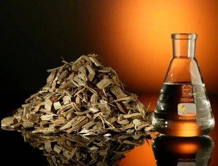Welcher Brennstoff wird für Biokamine verwendet?