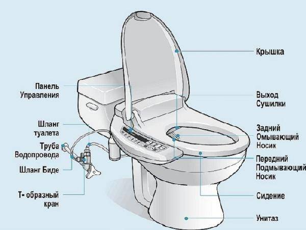 Toilet bidet låg: typer, beskrivelse af princippet om drift og tips til valg