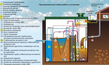 Beregning og indretning af filtreringsfeltet for en septiktank + analyse af mulige årsager til tilstopning