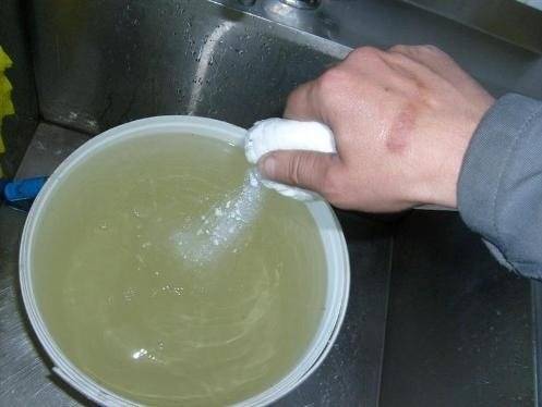 Eine Übersicht verschiedener biologischer Produkte für Senkgruben: Bakterien als Wächter der Sauberkeit