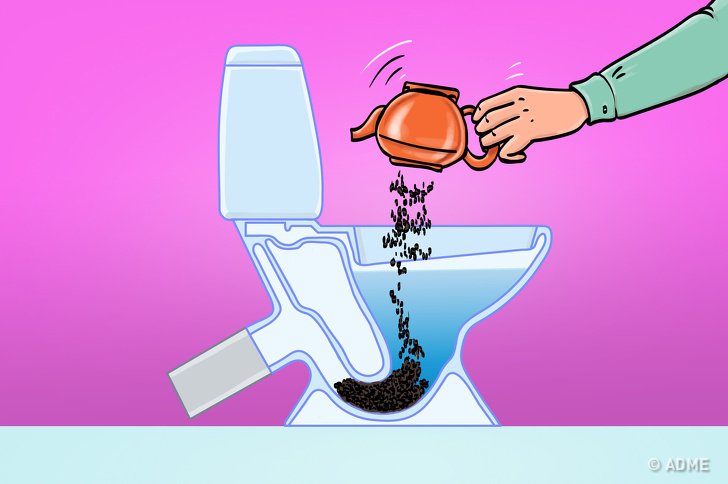 Was darf und was nicht die Toilette runtergespült werden. -Zewa