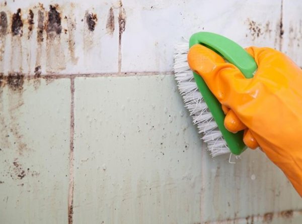 Schimmel im Badezimmer loswerden: effektive Methoden