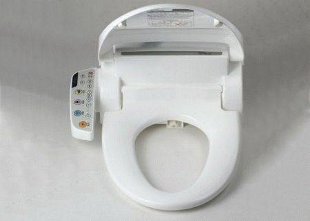Elektronische Toilette: Gerät, Typen + Überprüfung der besten Modelle auf dem Markt