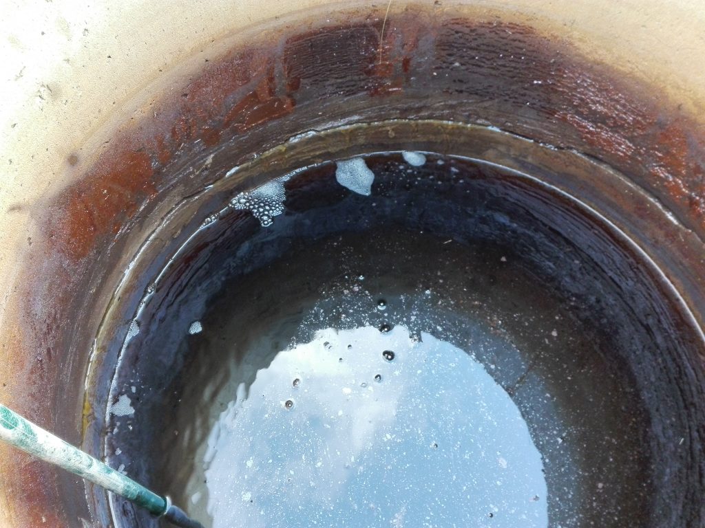 Trübes Wasser im Aquarium nach dem Start: Warum ist es so geworden, was tun, wenn es am zweiten Tag trüb wird, wie kann man das in Zukunft verhindern?