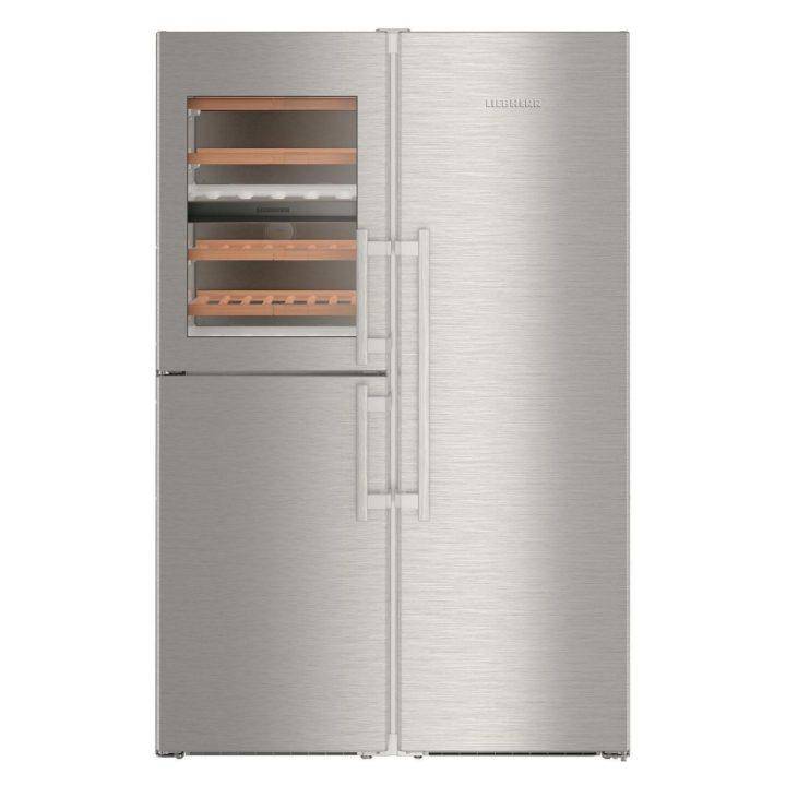To-dørs køleskab: fordele og ulemper ved Side-by-Side + en oversigt over de bedste modeller